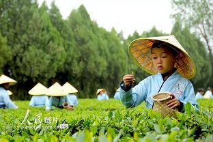 雷电竞下载官方版